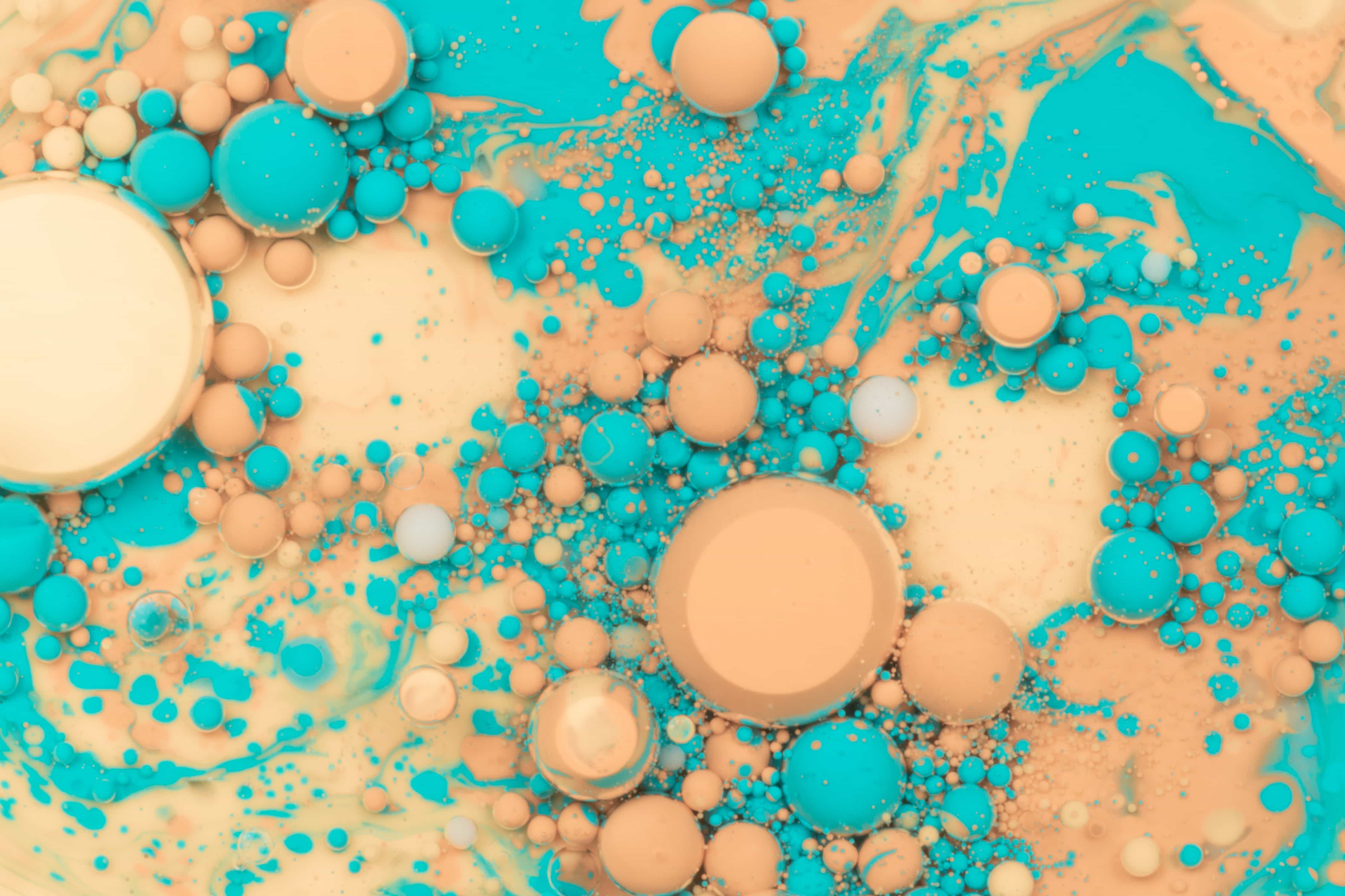 TEST SBX ARTICLE DE BLOG